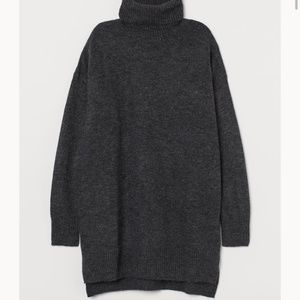 Conscious H&M Knit Turtleneck Sweater